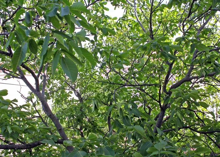 By The Sea Pirovac, Sibenik - 6280